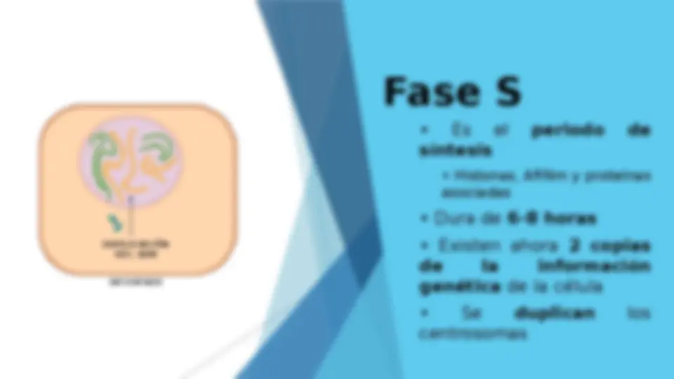 pf4