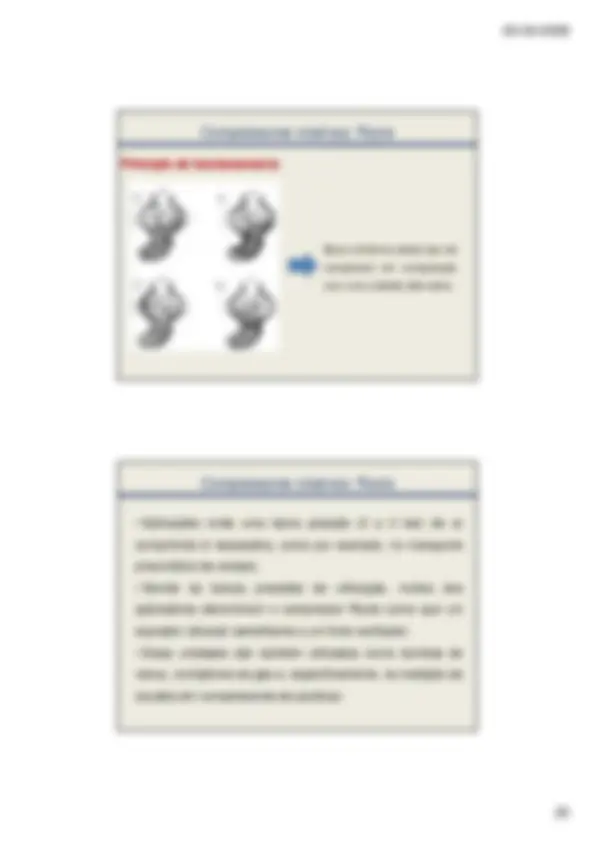 pf19