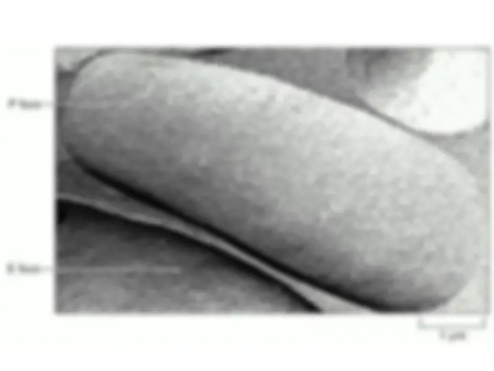 pf13