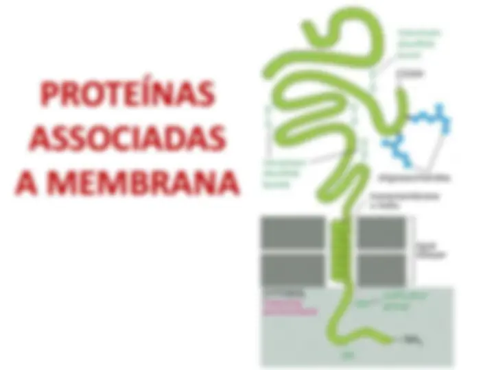 pfa