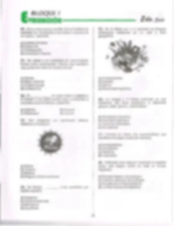 pf5
