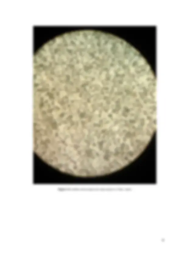 pf8