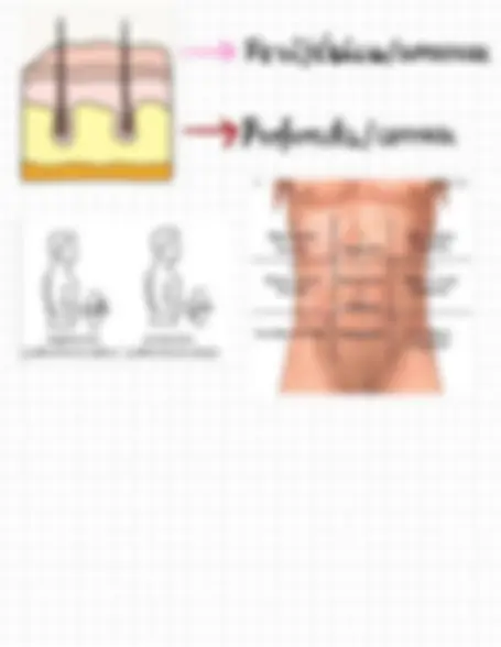 pf3