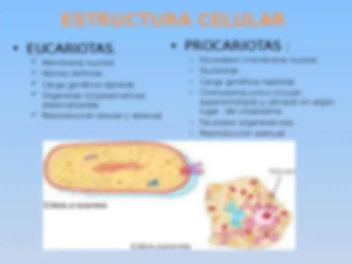 pf4