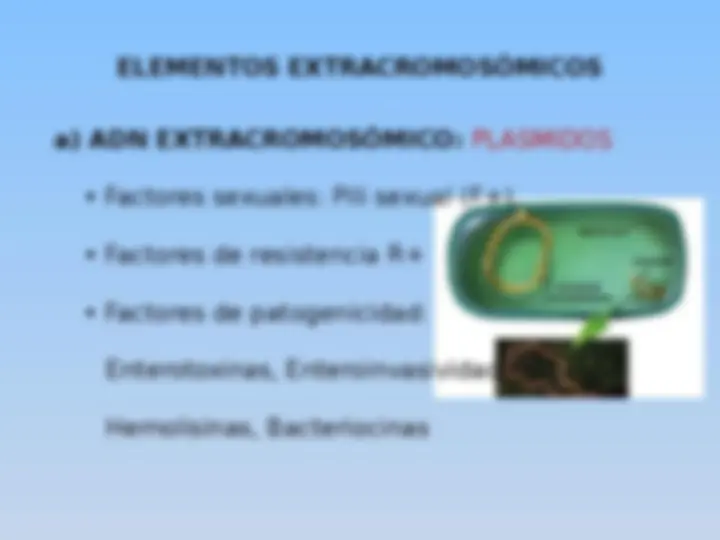pf1c