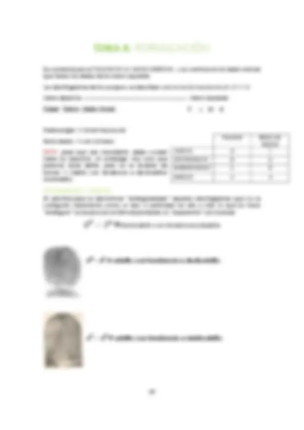 pf27