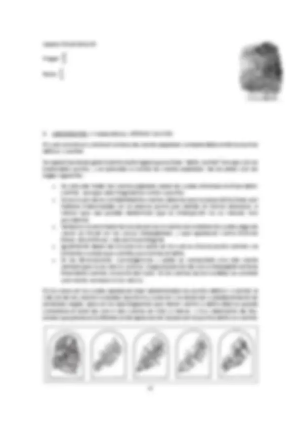 pf29