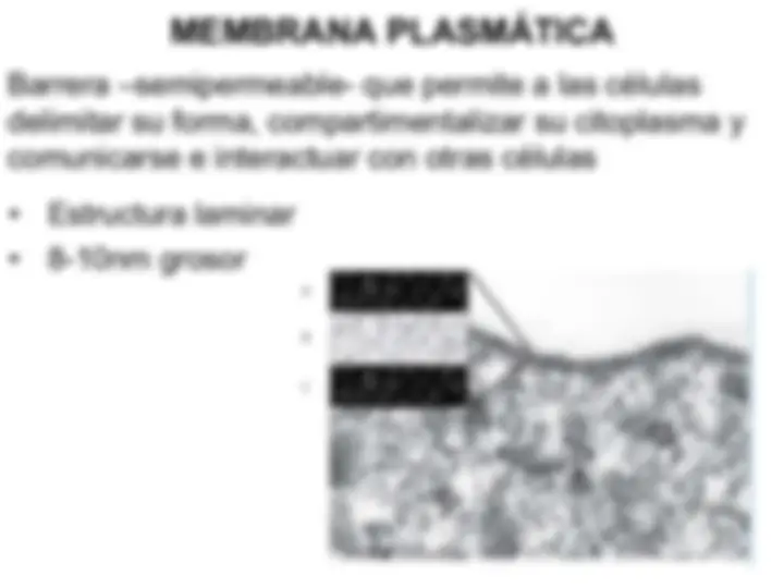pf4
