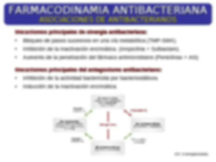 pf24