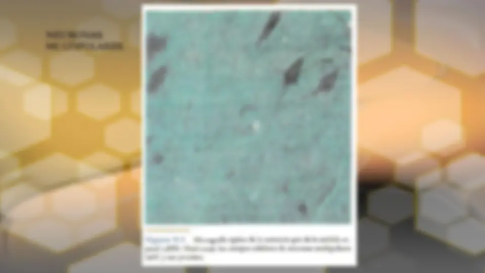 pf3