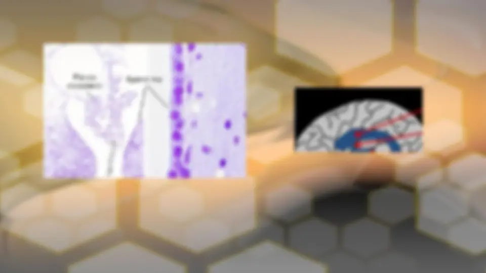 pf2d