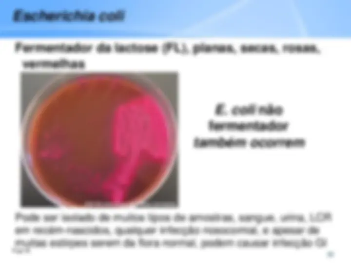pf24