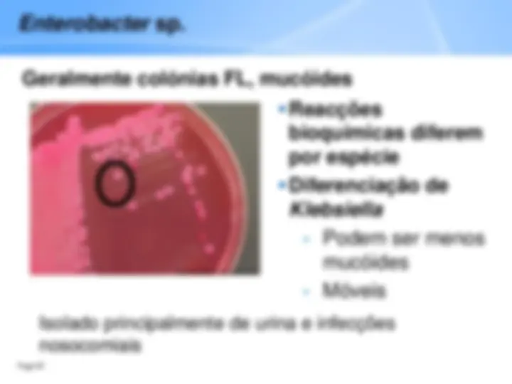 pf28