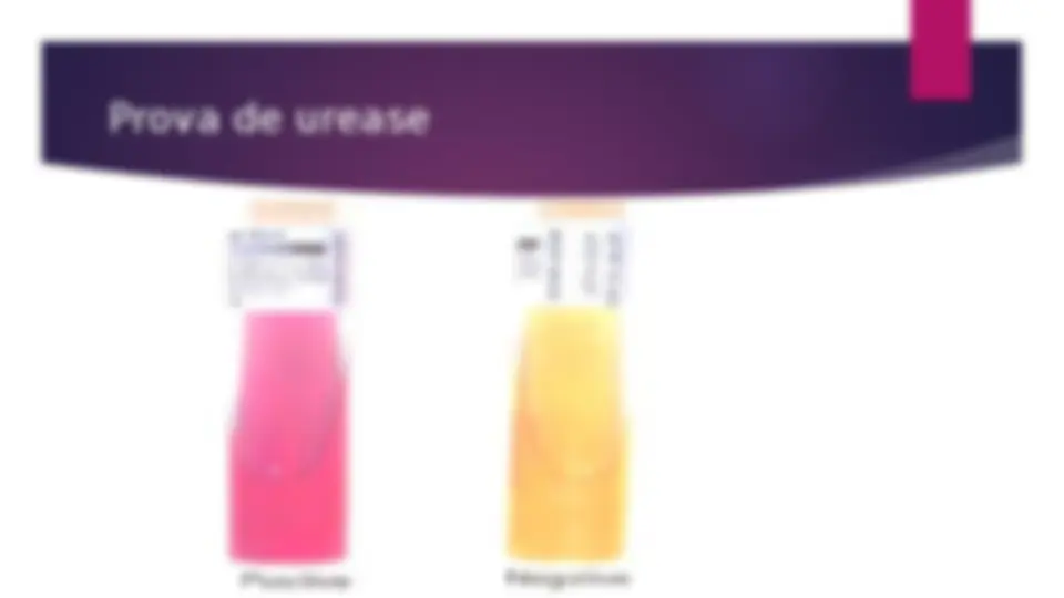 pf14