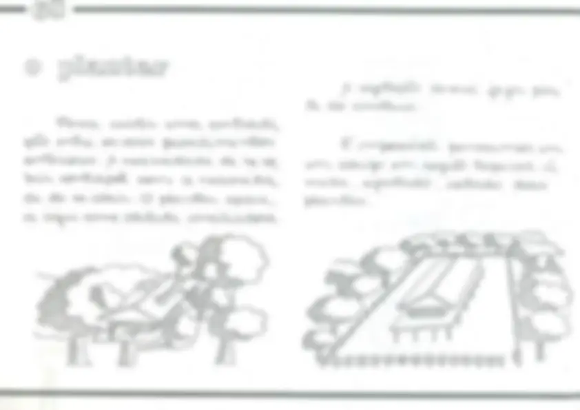 pf55