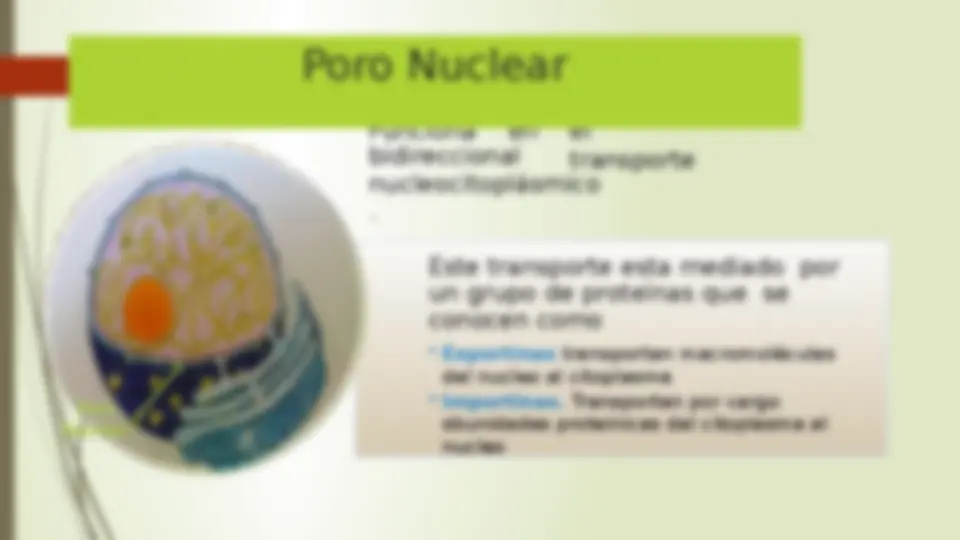 pfa