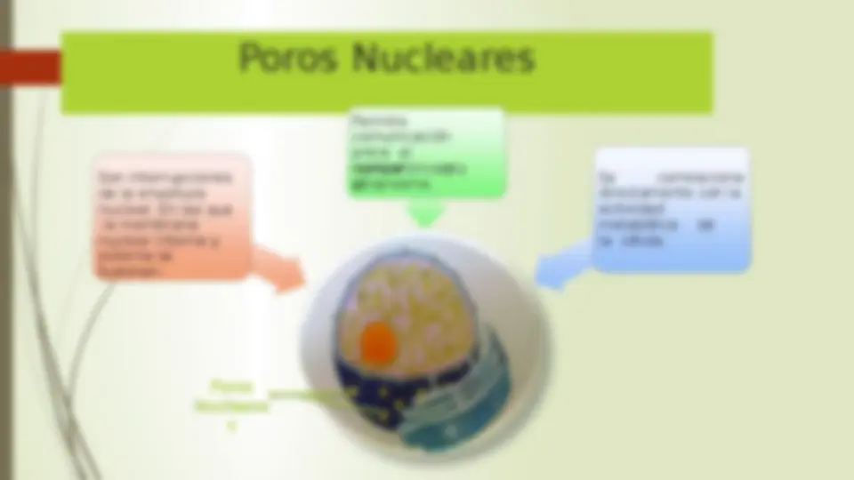 pf5