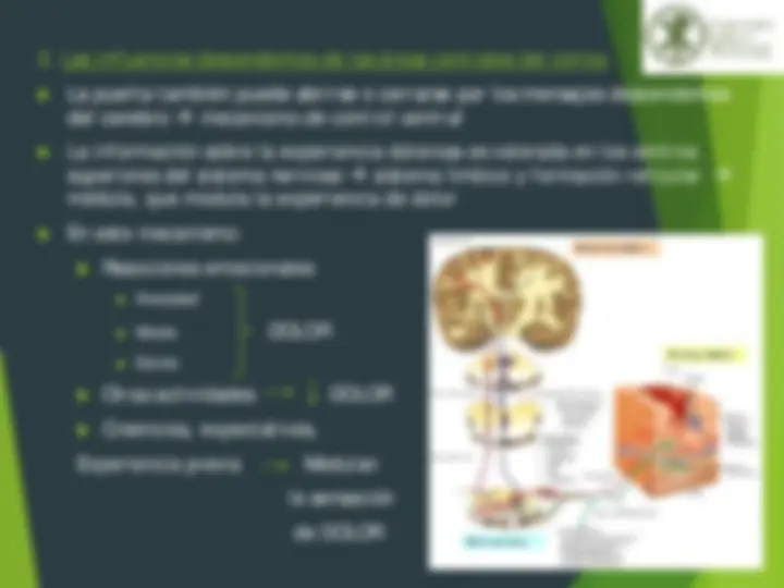 pfa