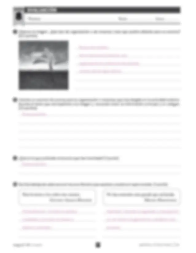 solucionario lengua 5 primaria | Apuntes de Lengua y Literatura | Docsity