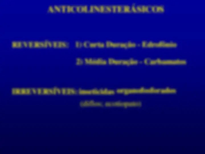 pf23