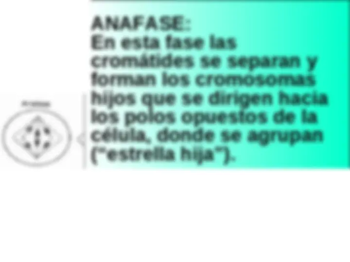 pf14