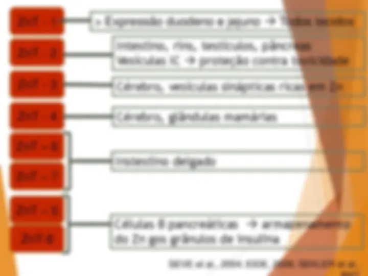 pfe