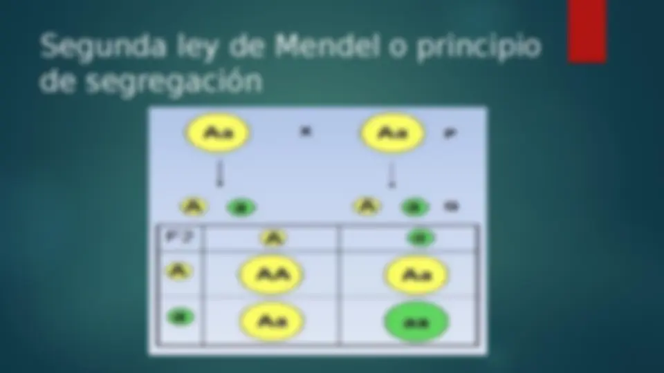 pf3