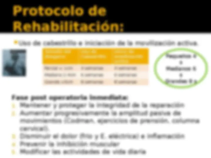 pf1b