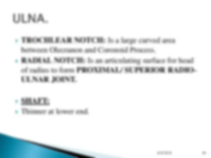 pf1d