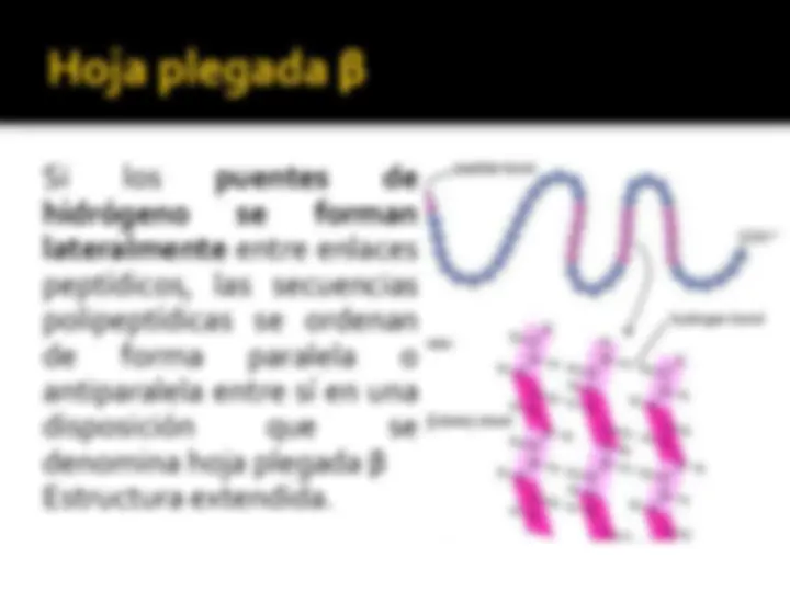 pf16