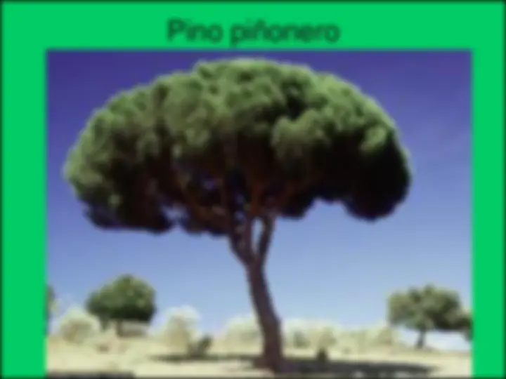 pf29