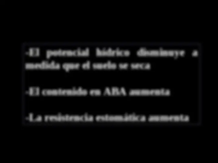pf1d