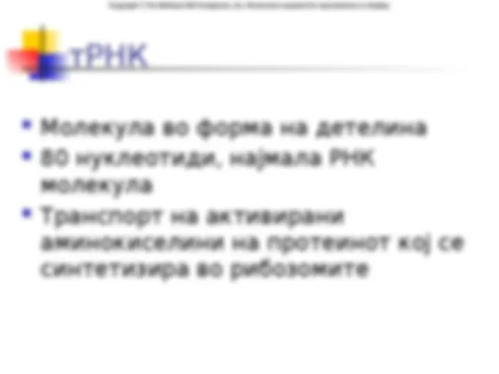 pf1b