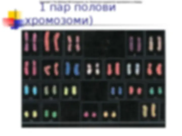 pf27