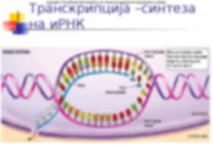 pf1d