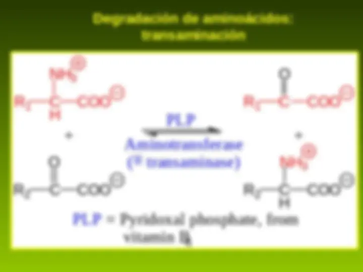 pf9