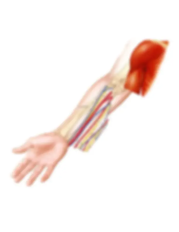 pf2