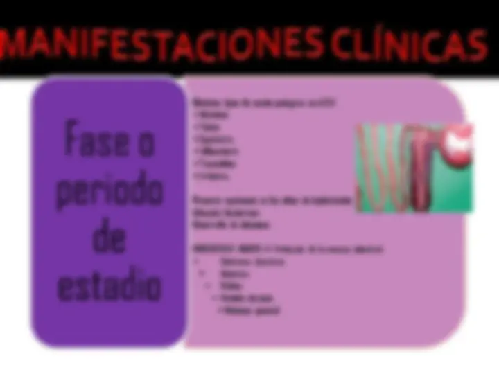 pf13