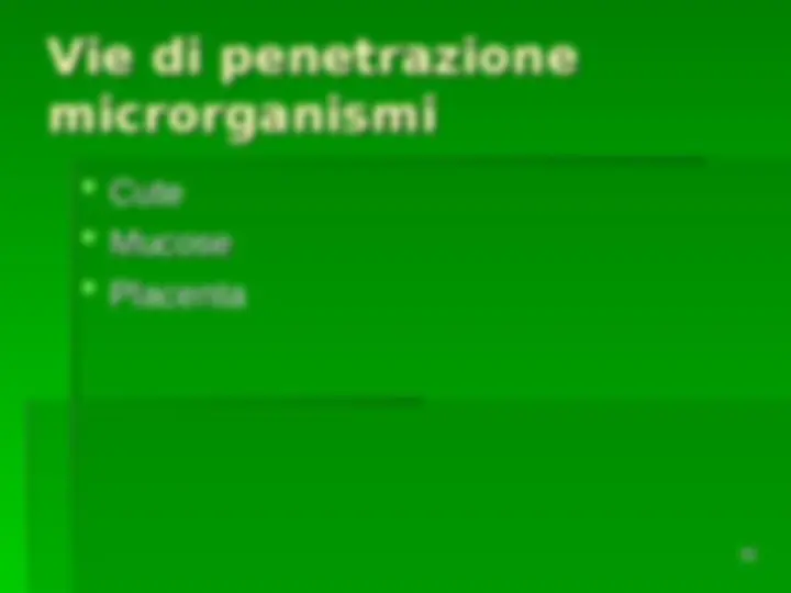 pf24