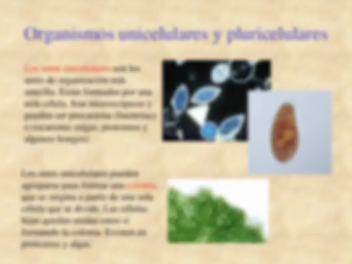 pf4
