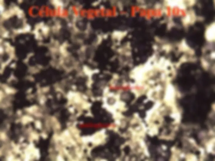 pf23