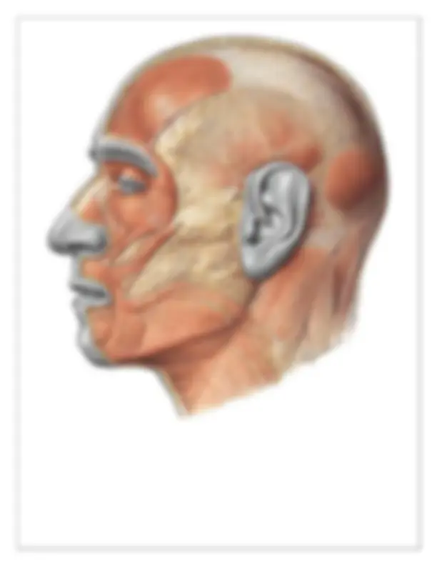 pf5