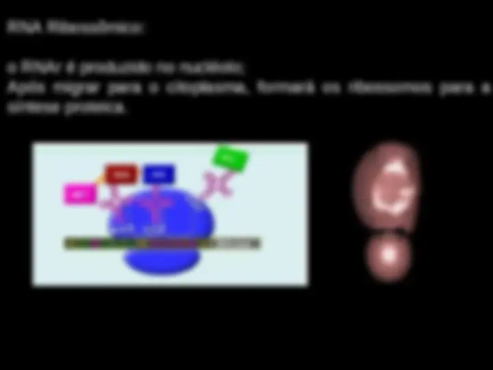 pf18