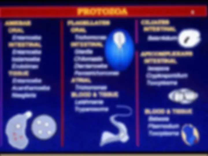 pf8