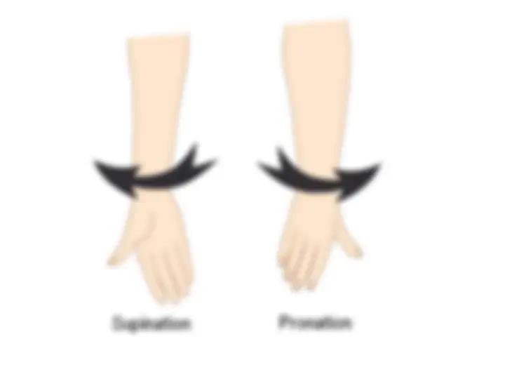pf18