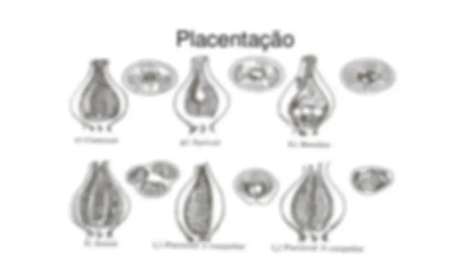 pf1a