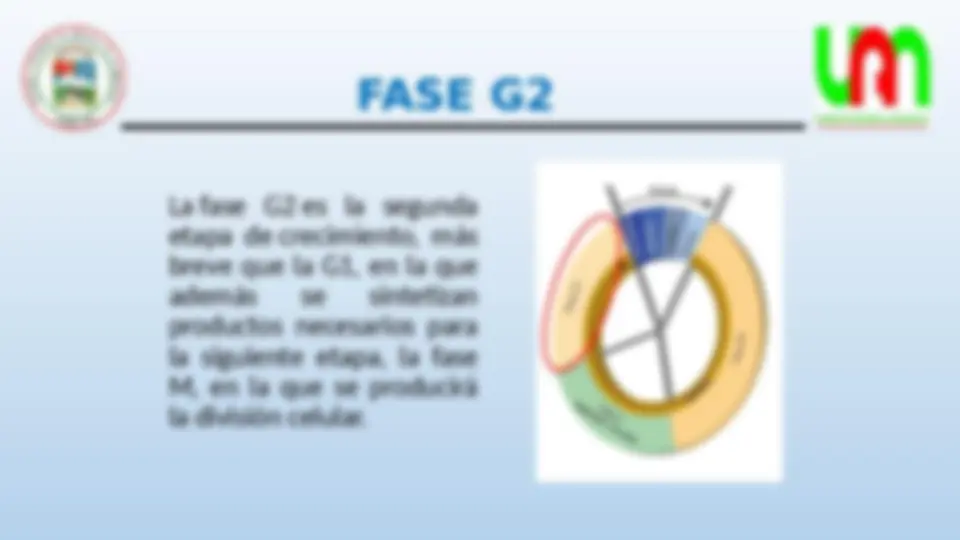 pf5b
