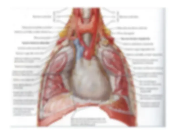 pf4