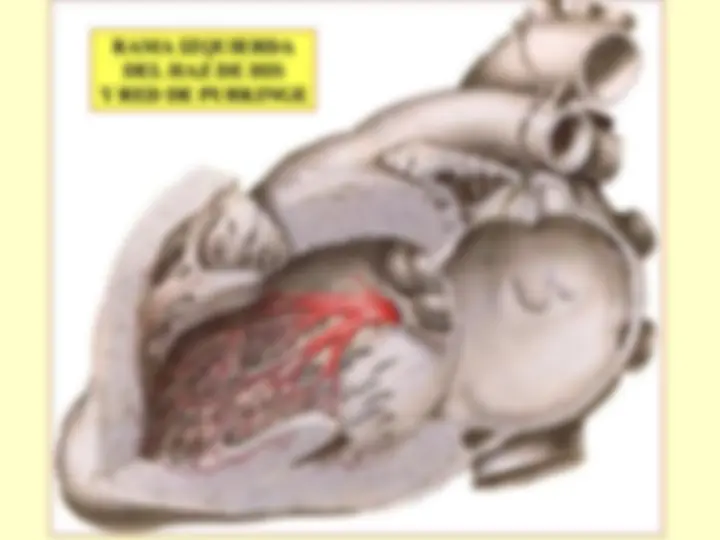pf58
