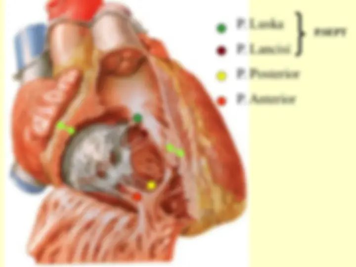 pf34